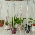 Plant Hangers