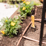 Common Gardening Mistakes