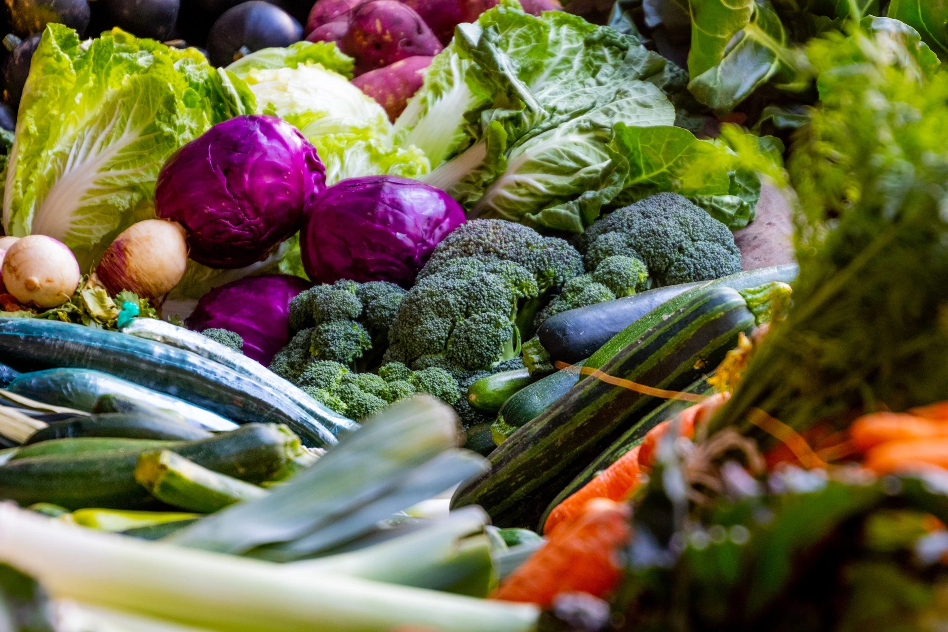 Fastest Growing Vegetables