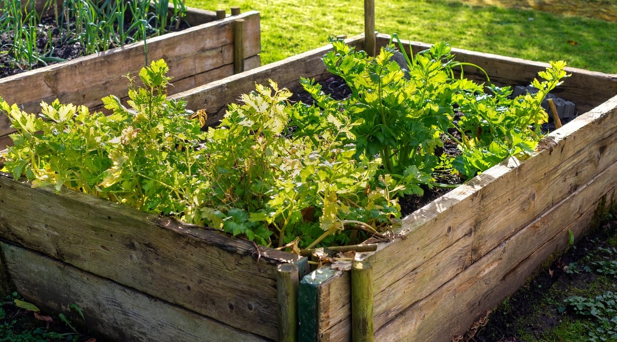 garden hack